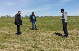 lucrări agricole ploi - agroexpert.md