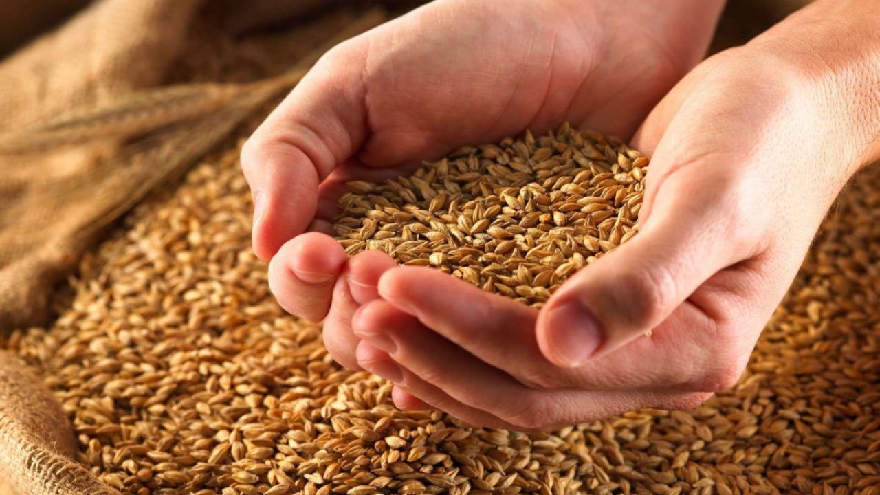 cereale Ucraina interdicție - AgroExpert.md