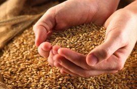 cereale Ucraina interdicție - AgroExpert.md