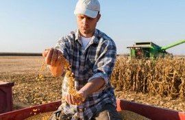 fermieri criză Ucraina - AgroExpert.md