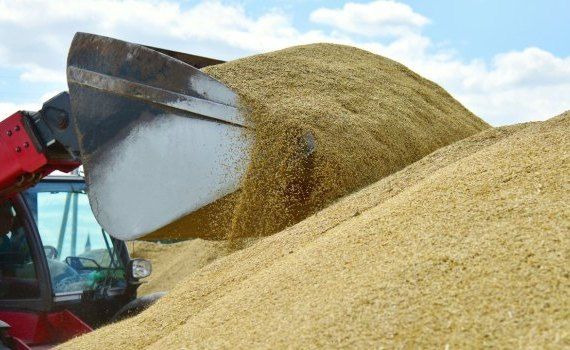 Forța Fermierilor import cereale - agroexpert.md