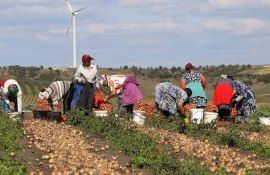 angajați agricultură criză - AgroExpert.md