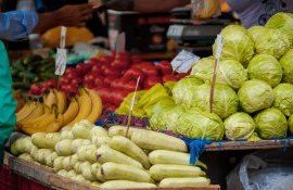 controalele agroalimentare - agroexpert.md