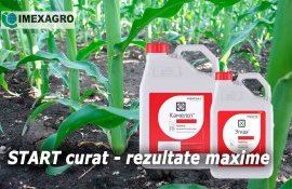 Гербициды KAMELOT и EGHIDA - эффективный способ защиты кукурузы - agroexpert.md