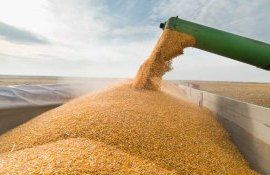 Forța fermierilor Recean - agroexpert.md