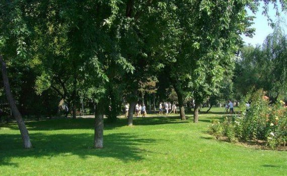spații verzi orașe Moldova - AgroExpert.md