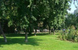 spații verzi orașe Moldova - AgroExpert.md