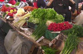 patent activitate independentă - agroexpert.md