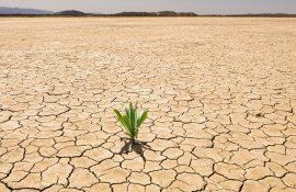 secetă Europa temperatura - AgroExpert.md