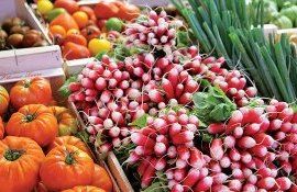 fermieri prooductie export - AgroExpert.md