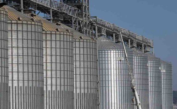 Минсельхоз США дал оценку сбора пшеницы в РФ в 2023 году - agroexpert.md