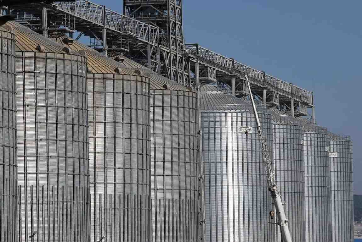 Минсельхоз США дал оценку сбора пшеницы в РФ в 2023 году - agroexpert.md