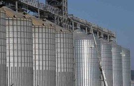 Минсельхоз США дал оценку сбора пшеницы в РФ в 2023 году - agroexpert.md