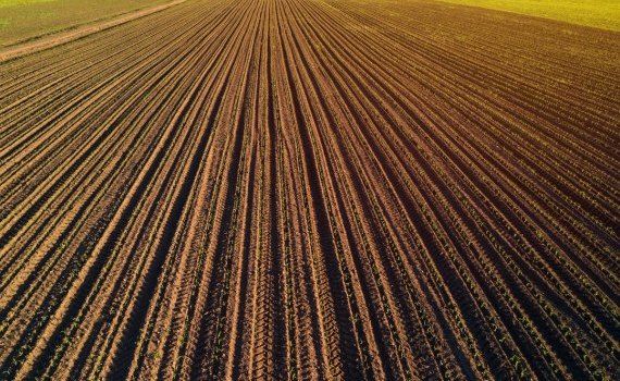 terenuri agricultura fermieri - AgroExpert.md