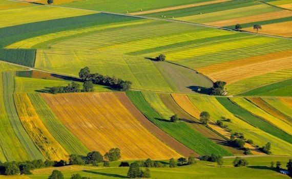 terenuri agricole, ARBI - agroexpert.md