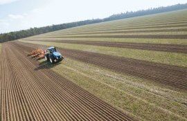 Турция видит перспективу в модели планового сельского хозяйства - agroexpert.md