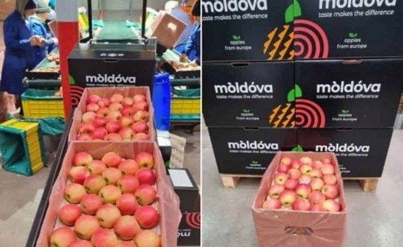 Диверсификация экспортных рынков для молдавских яблок - agroexpert.md