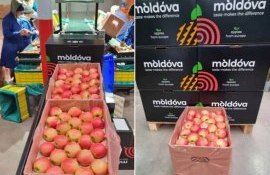 Диверсификация экспортных рынков для молдавских яблок - agroexpert.md