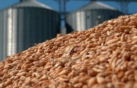 Румынские фермеры могут лишиться обещанной помощи ЕС - agroexpert.md   