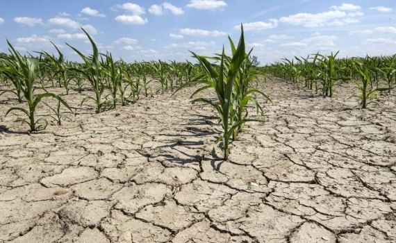 seceta climă Moldova - AgroExpert.md