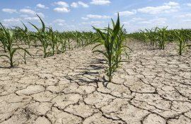 seceta climă Moldova - AgroExpert.md