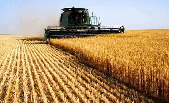 USDA ухудшило для Украины прогноз урожая и экспорта зерна - agroexpert.md