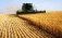 USDA ухудшило для Украины прогноз урожая и экспорта зерна - agroexpert.md