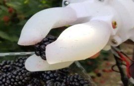 Разработка роботизированной руки для сбора ежевики - agroexpert.md