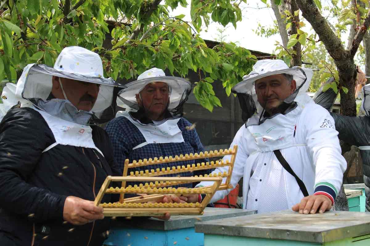 seminar apicultură - agroexpert.md
