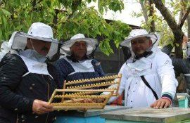 seminar apicultură - agroexpert.md