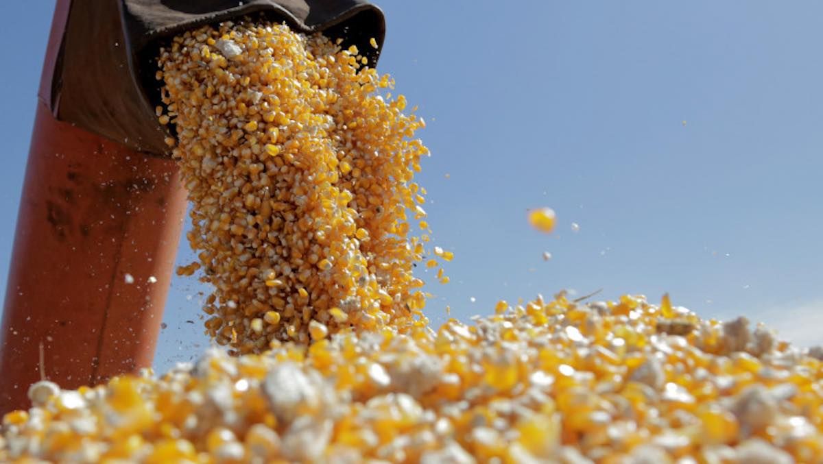cereale Turcia tarif vamal - agroexpert.md