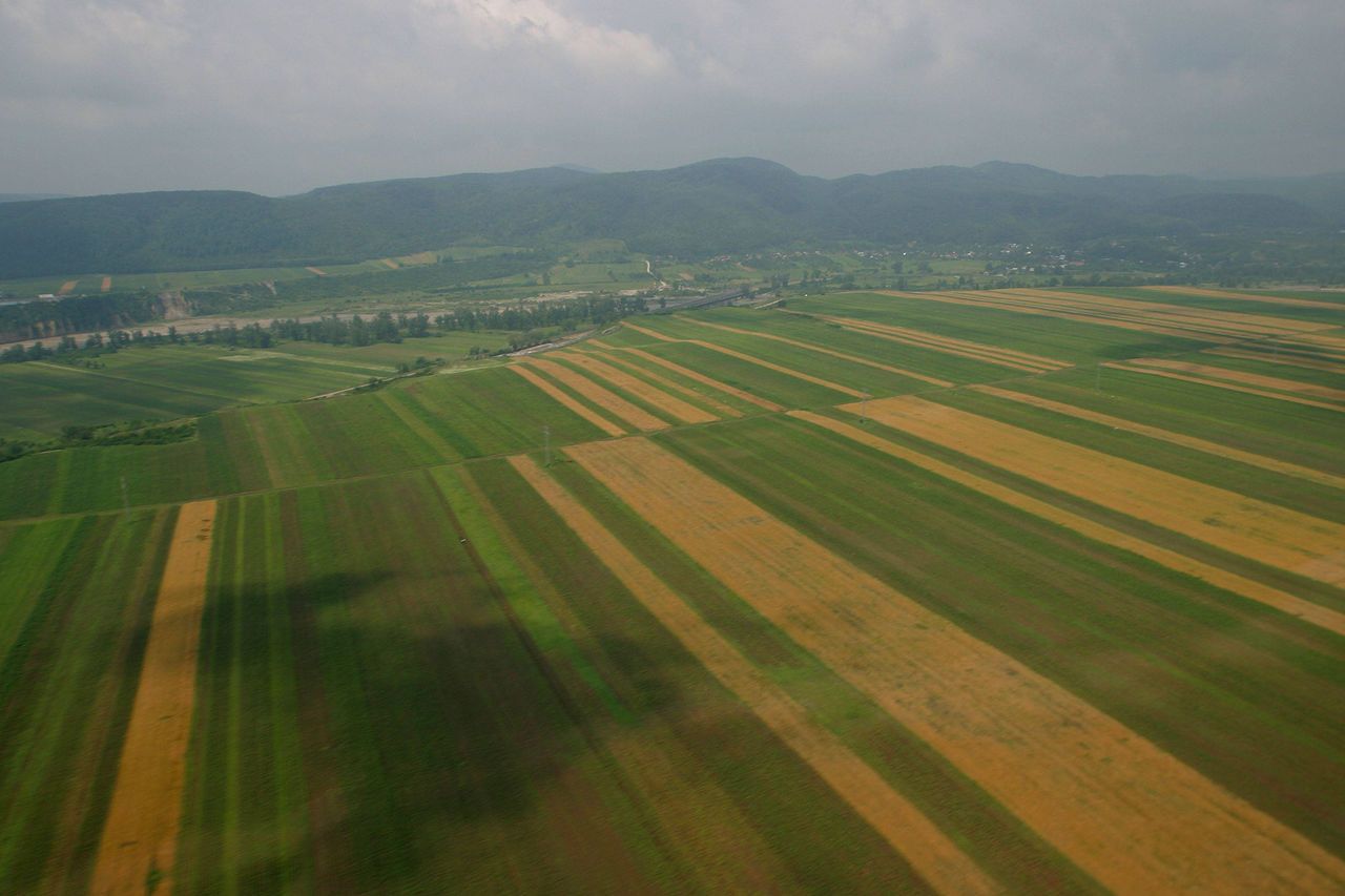 Cod fucniar deputați modificare - AgroExpert.md