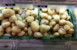 В Молдове расширился диапазон цен на молодой картофель - agroexpert.md   