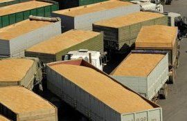 cereale export Moldova - AgroExpert.md