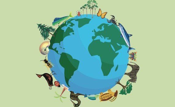 Ziua internațională a biodiversității - agroexpert.md