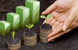 economia verde - agroexpert.md
