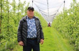 horticultor sisteme anti-îngheț