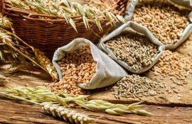 cereale producție globală - agroexpert.md