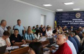 Условия субсидирования инвестиций – консультация власти с аграриями - agroexpert.md