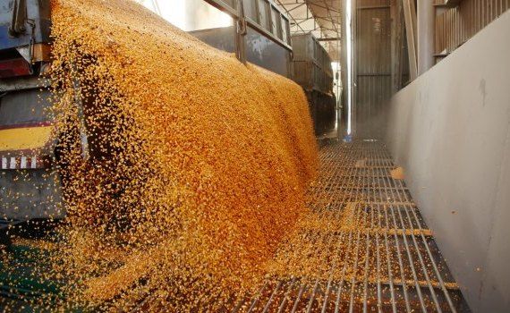 cereale export Moldova - AgroExpert.md
