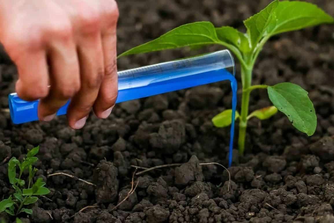 Индия становится мировым лидером по экспорту агрохимикатов - agroexpert.md