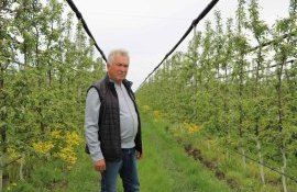 piață mere consumatori - agroexpert.md