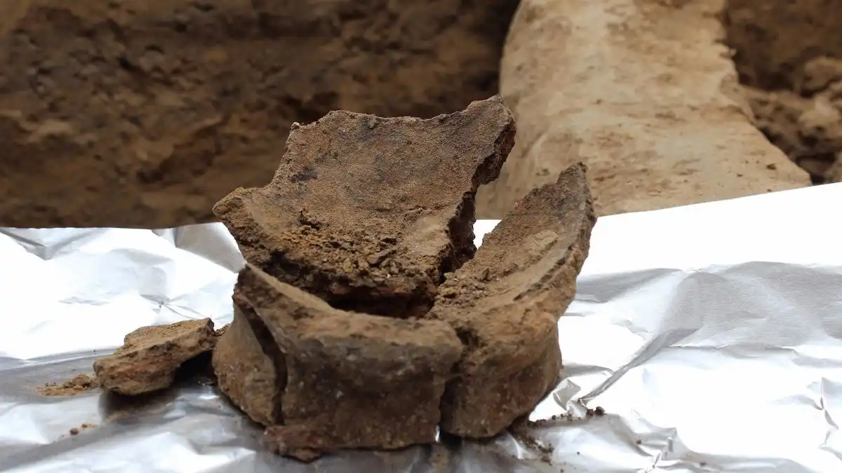 8000-летнее вино: грузинское виноделие может оказаться самым древним в мире