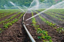 irigare sociații comodat - AgroExpert.md