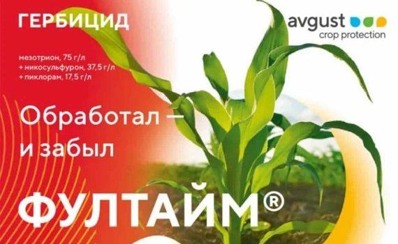 Фултайм® – системный гербицид против спектра сорняков на кукурузе - agroexpert.md