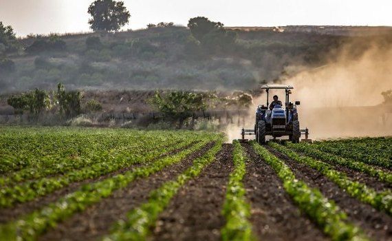 fermieri proteste rambursare TVA - agroexpert.md