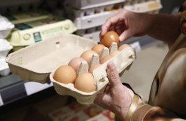 ouă salmonella ANSA - agroexpert.md