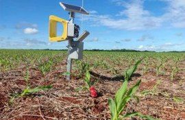 Инновационные ловушки для вредных насекомых - agroexpert.md