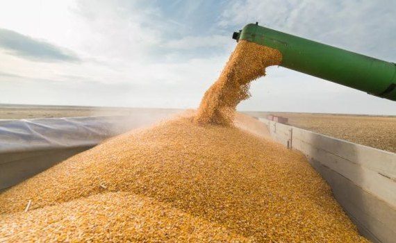 Сapacitate mare de transbordare a cerealelor - agroexpert.md