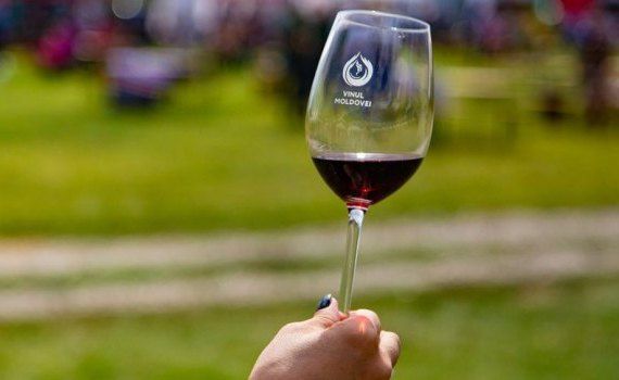 vin festival - agroexpert.md